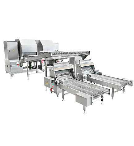 Spring Roll Wrapper Machine